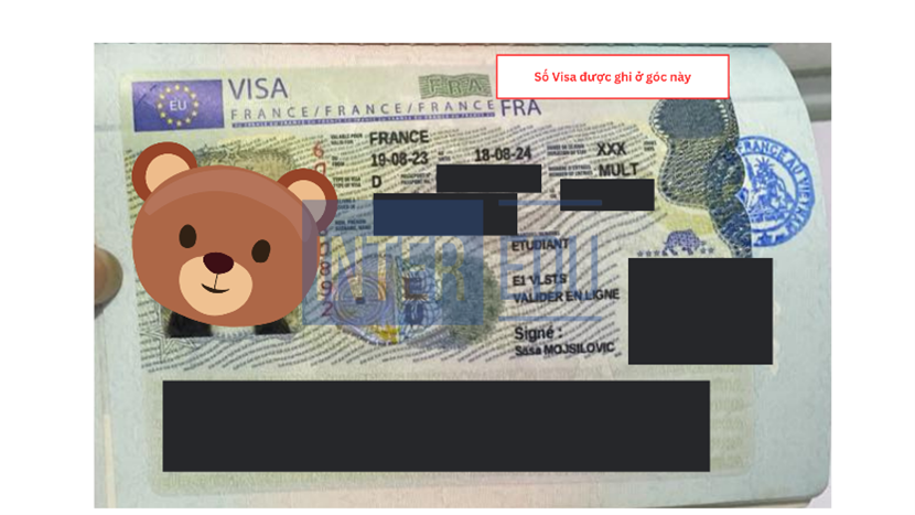 Vị trí số visa